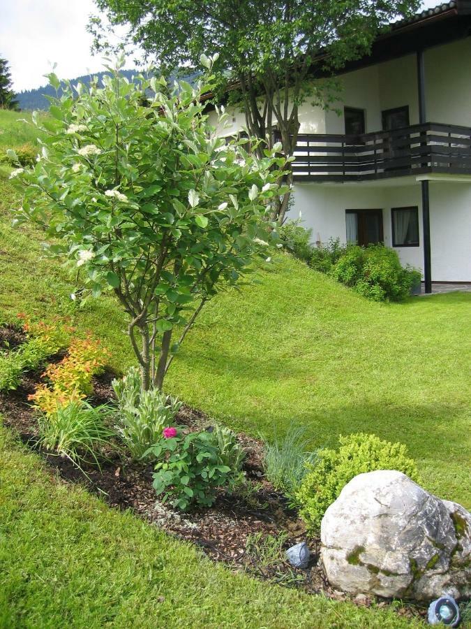 Haus Anne Βίλα Ellmau Εξωτερικό φωτογραφία